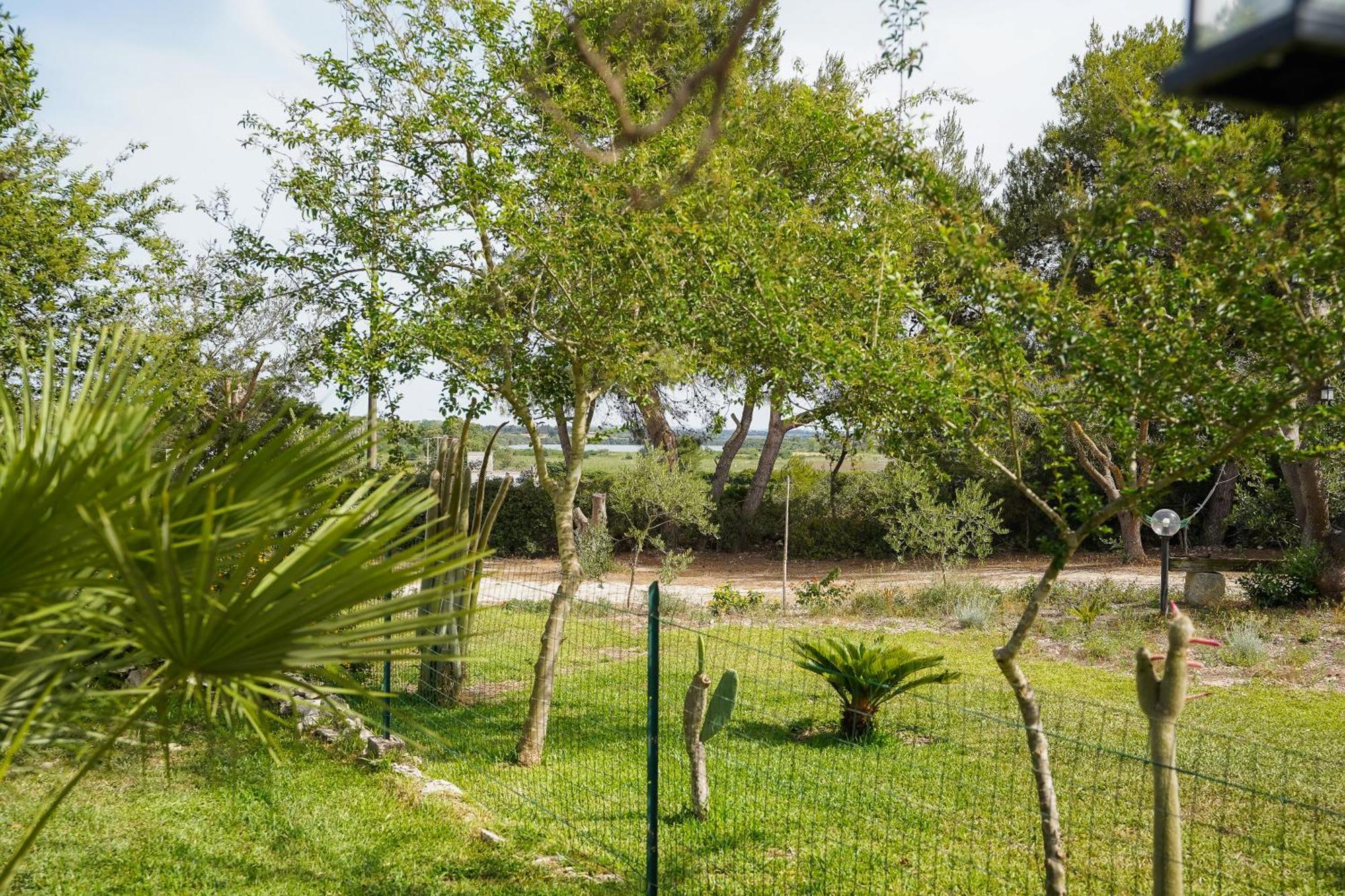 Casa Vacanza Russo Fernando Alimini Exteriér fotografie