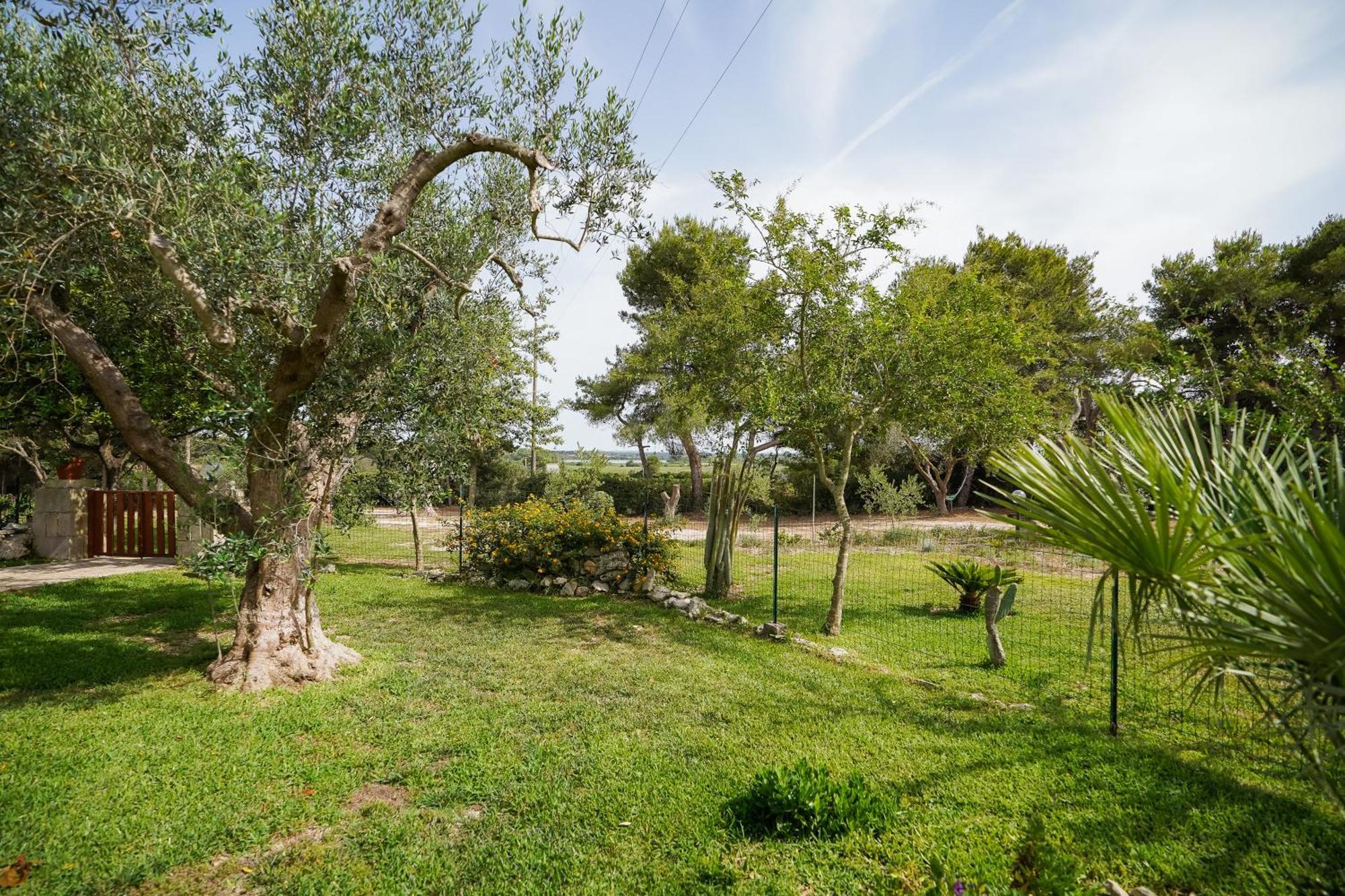 Casa Vacanza Russo Fernando Alimini Exteriér fotografie